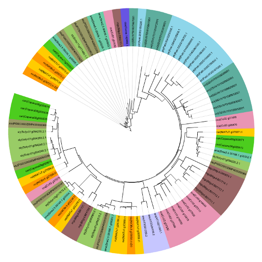 Nicotiana attenuata Data Hub - The resource for the coyote tobacco genome